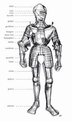 20061001174126-arms-diagram.armor.lg.jpg